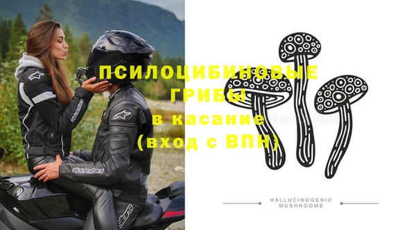 трава Беломорск