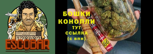 трава Беломорск