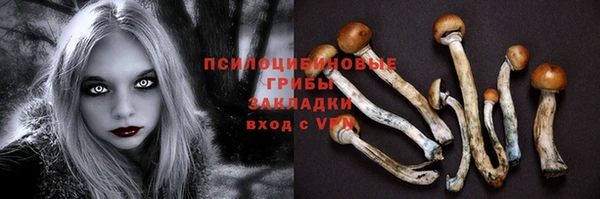 МДМА Белокуриха